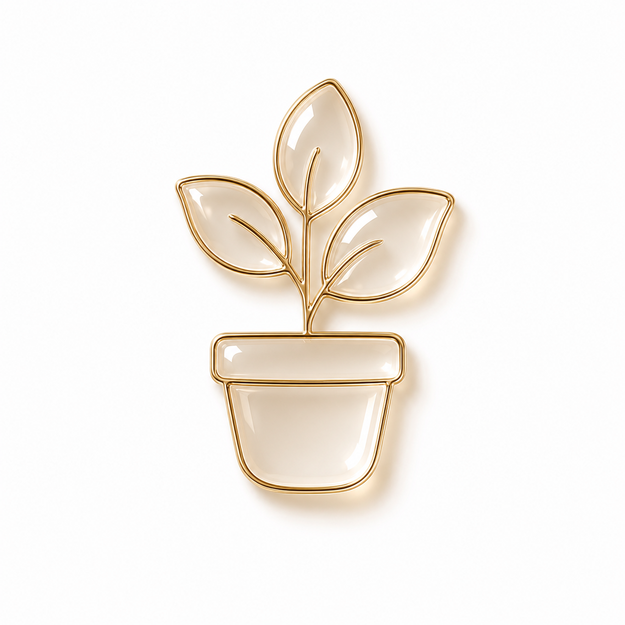 Bubl | Holiday Plant Care